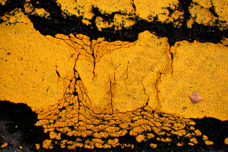 Cracked Crosswalk Surface