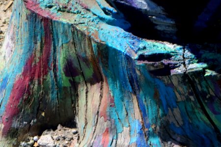 Peacock-painted Stump
