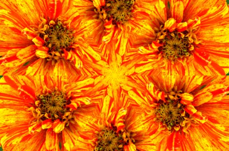 Kaleidoscope (68)