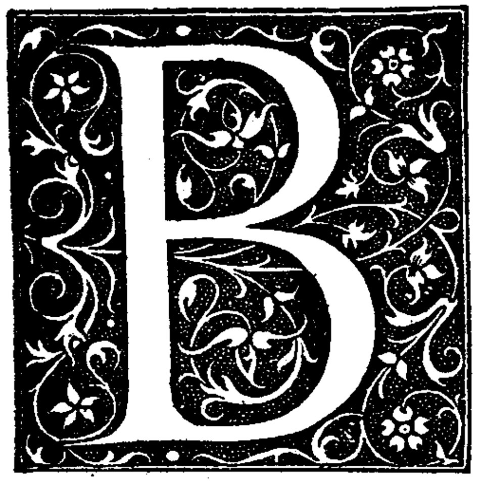 Black Botany Rectangle Organism