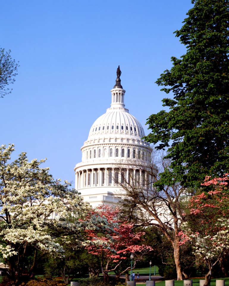 U.S. Capitol Building, Washington D.C. Original image from Carol M. Highsmith’s America, Library of Congress collection.