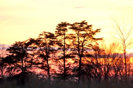 Sunset 6