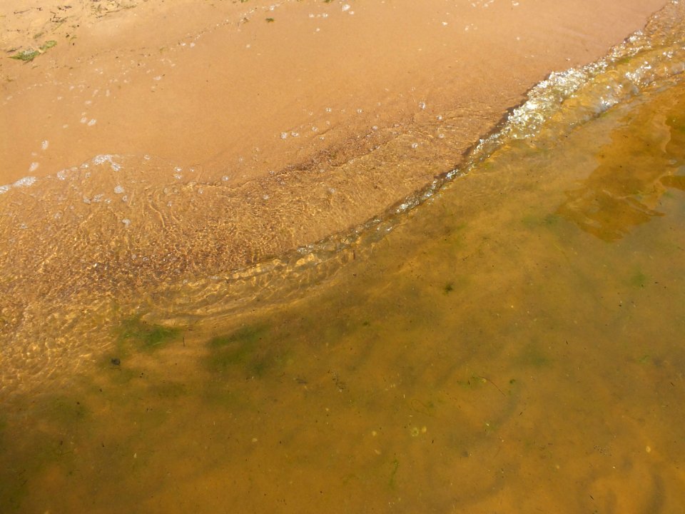 Brown Water Liquid Fluid