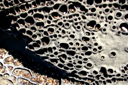 Beach Rock With Holes