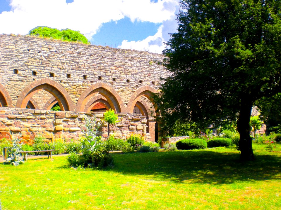 Garden With Ancient Wall