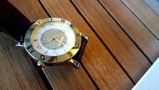 Geiger Wrist Watch photo