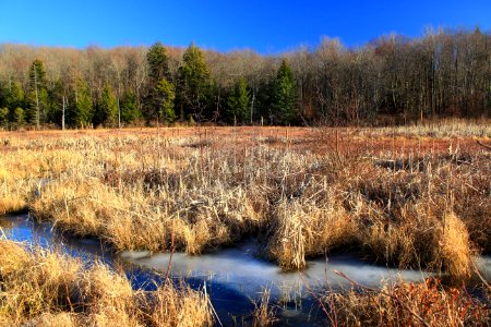 Old Route 611 Trail (2)