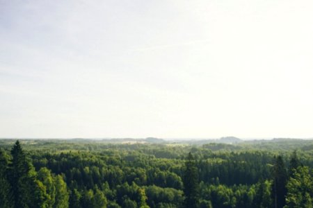 Latvian Landscape