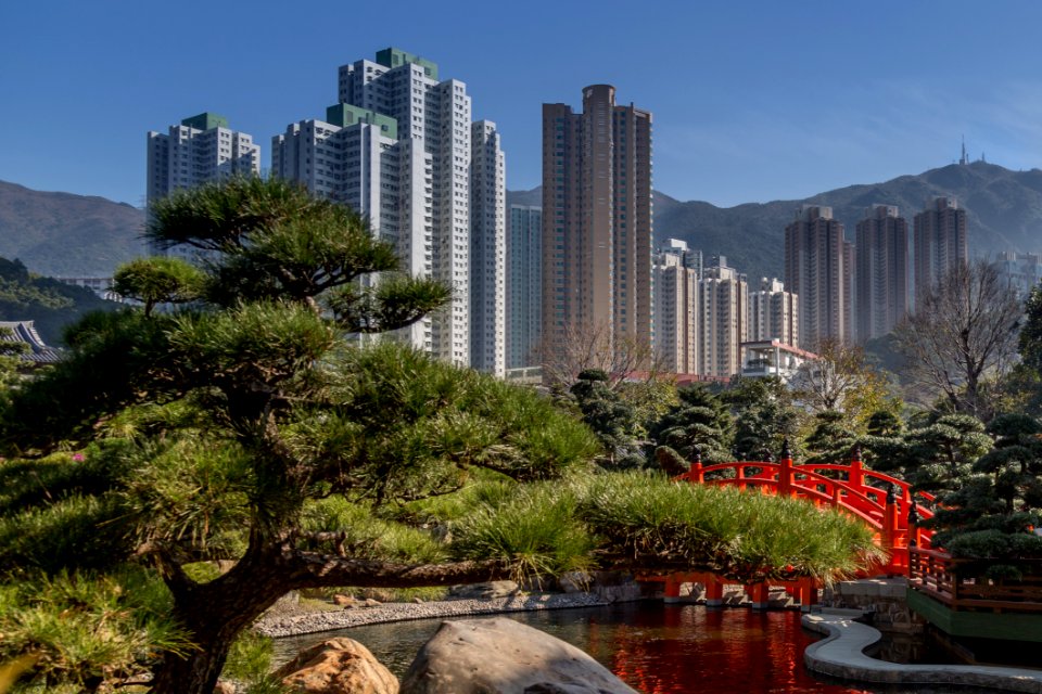 Japanese Garden Near Towers