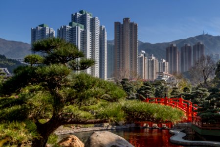 Japanese Garden Near Towers