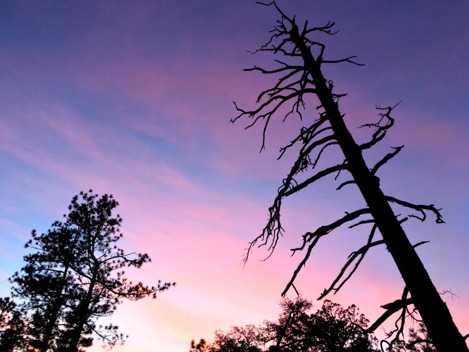 Leaning In On Sunset
