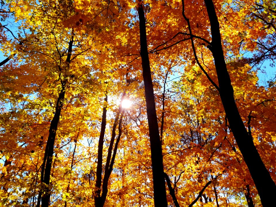 Smith Nature Park And Slyh Run