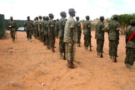 Soldiers In Formation