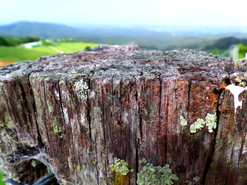 A Post With A View