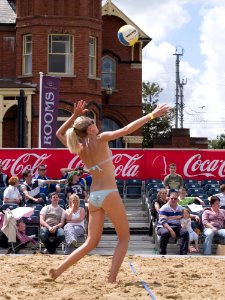 Window Leg Shorts Net Sports