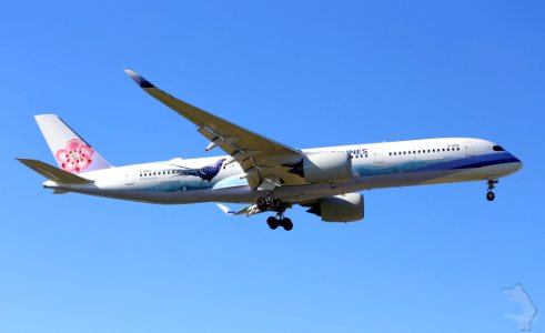 Commercial Airliner In Flight