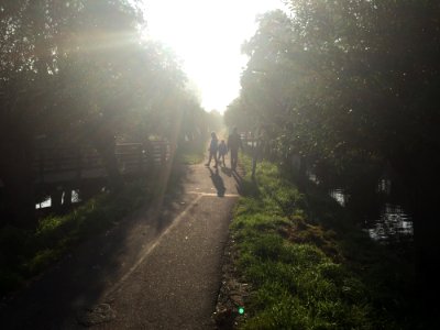 Backlight Path With Wanderers In November