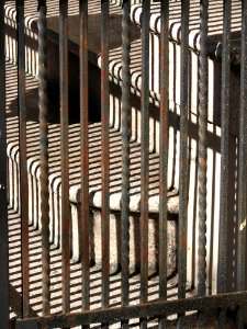 Staircase-and-railing Shadow Composition