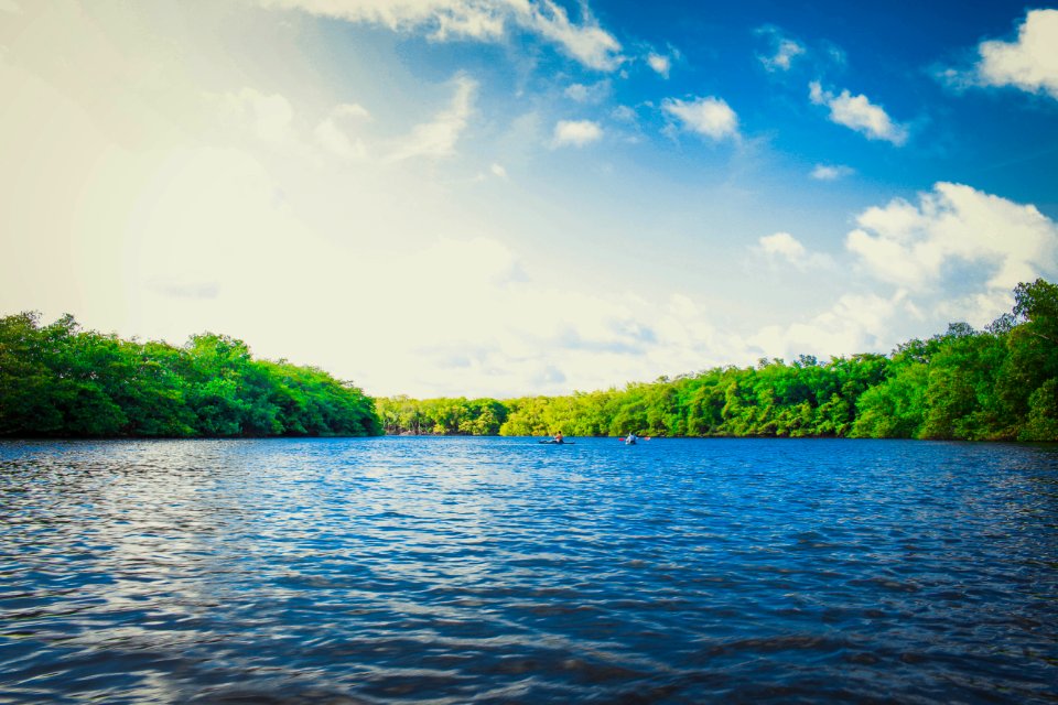 Canoeing On A Lake