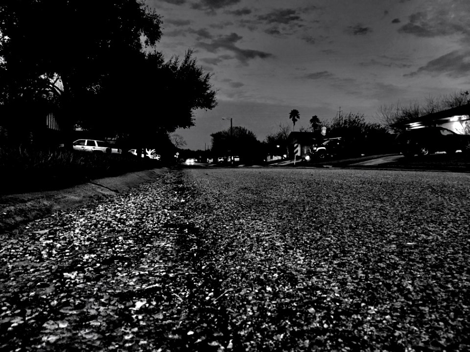 Neighborhood Street