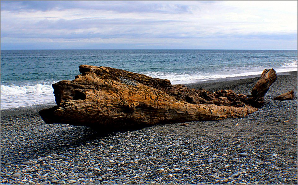 West Coast Beaches Of New Zealand