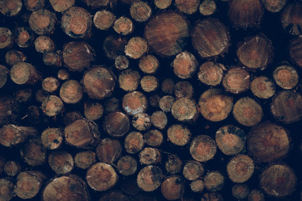 Wood Logs Background