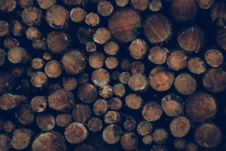 Wood Logs Background photo