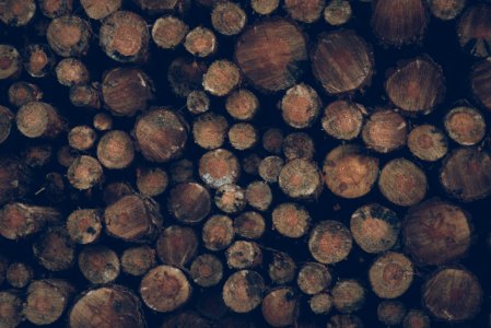 Wood Logs Background