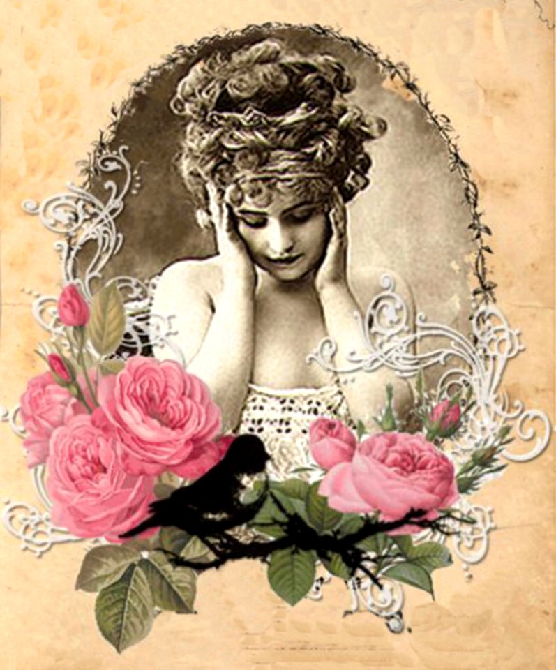Evangeline Rose Cover 2