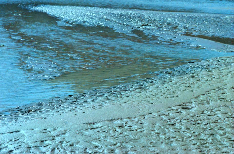Beach Sand Texture photo