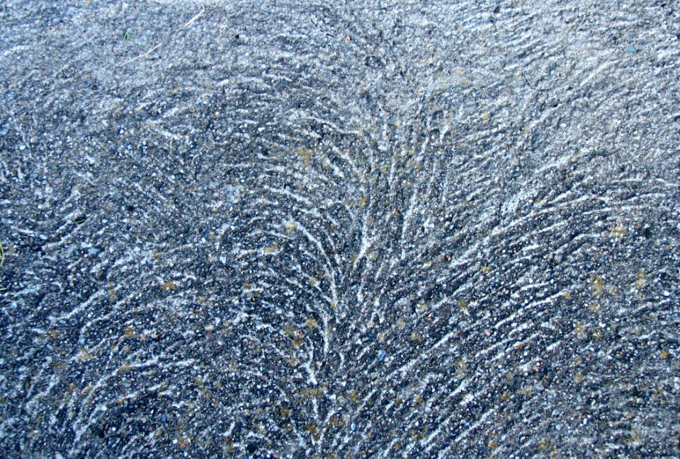 Feathery Concrete Pattern
