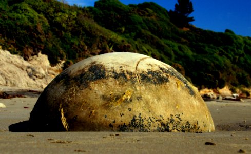 Moeraki Boulder NZ