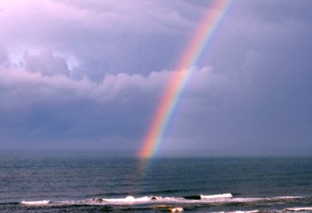 MM00-1311 TVJ SEA RAINBOW D3000 55-200