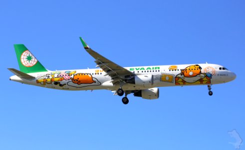 Eva Air Airplane