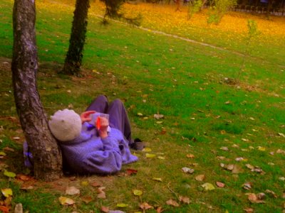 Woman Writing In The Park photo