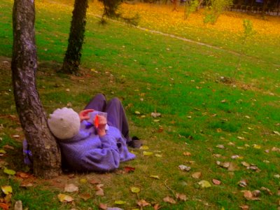 Woman Writing In The Park