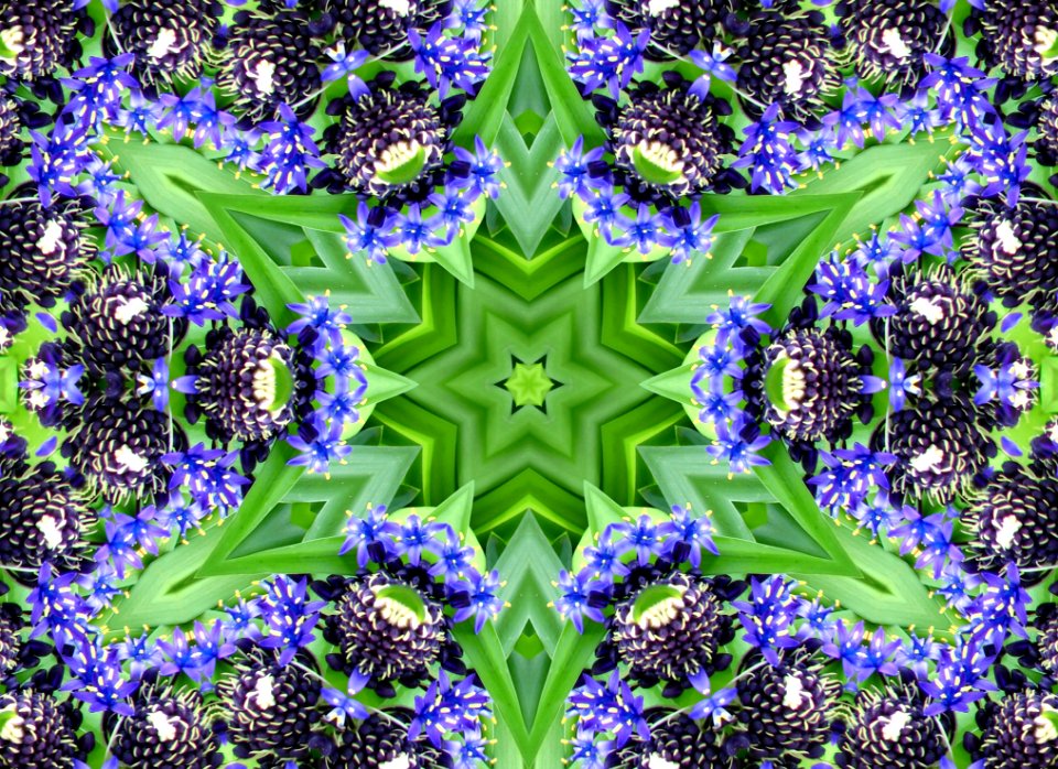 Kaleidoscope Design 36