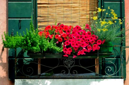 License Free Photo - Creative Commons By Gnuckx