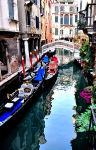 License Free Photo - Creative Commons By Gnuckx
