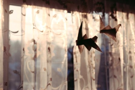 Origami Birds photo