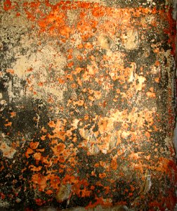 Rusty Distressed Wall (Angel Island) photo
