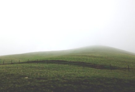 Green Field Background Texture