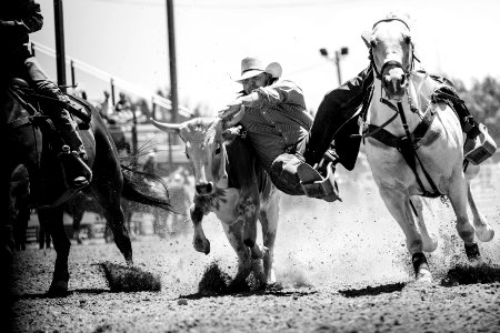 Rodeo action at the Cheyenne Frontier Days celebration in Wyoming's capital city. The Western celebration has been celebrated since 1897. Original image from Carol M. Highsmith’s America, Library of Congress collection. photo