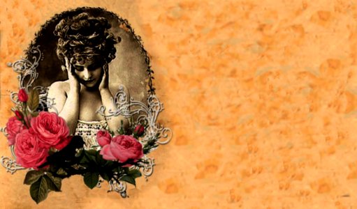Evangeline Rose Cover 3