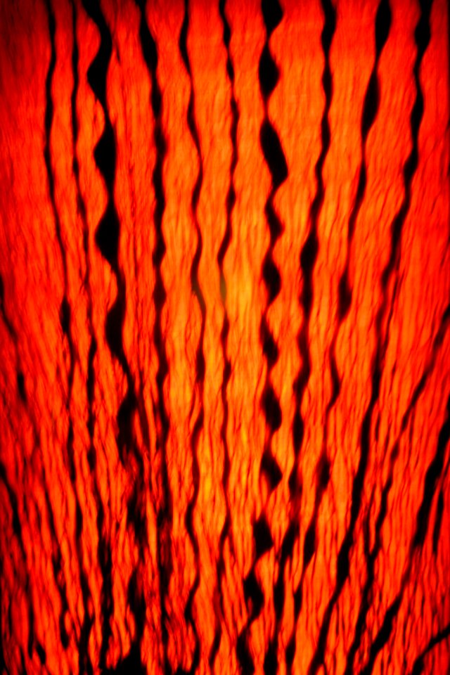 Lights 29