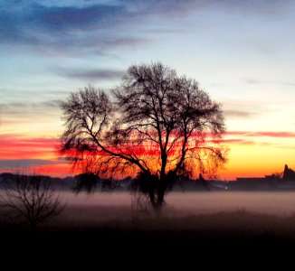 MM30B-1301 COL SNR PLN FOG S10 OP