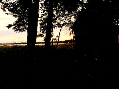 Small Wooden House By Trees