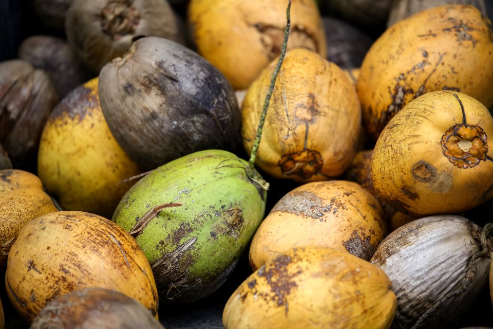 Yellow Green And Brown Fruits