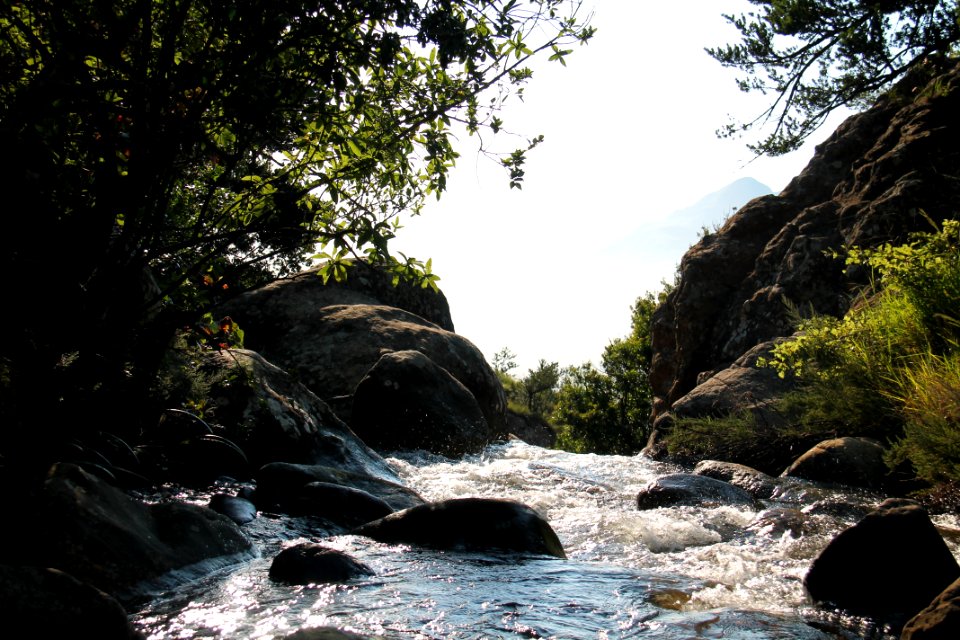 Nature Stream
