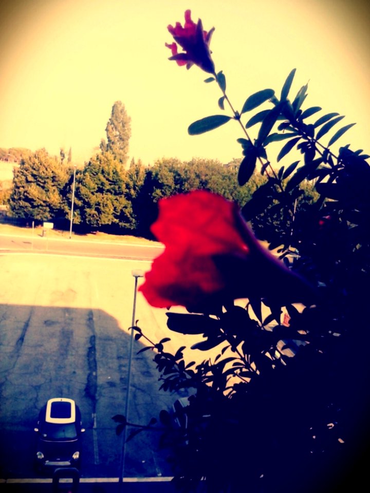 2015-07-1408-19-42